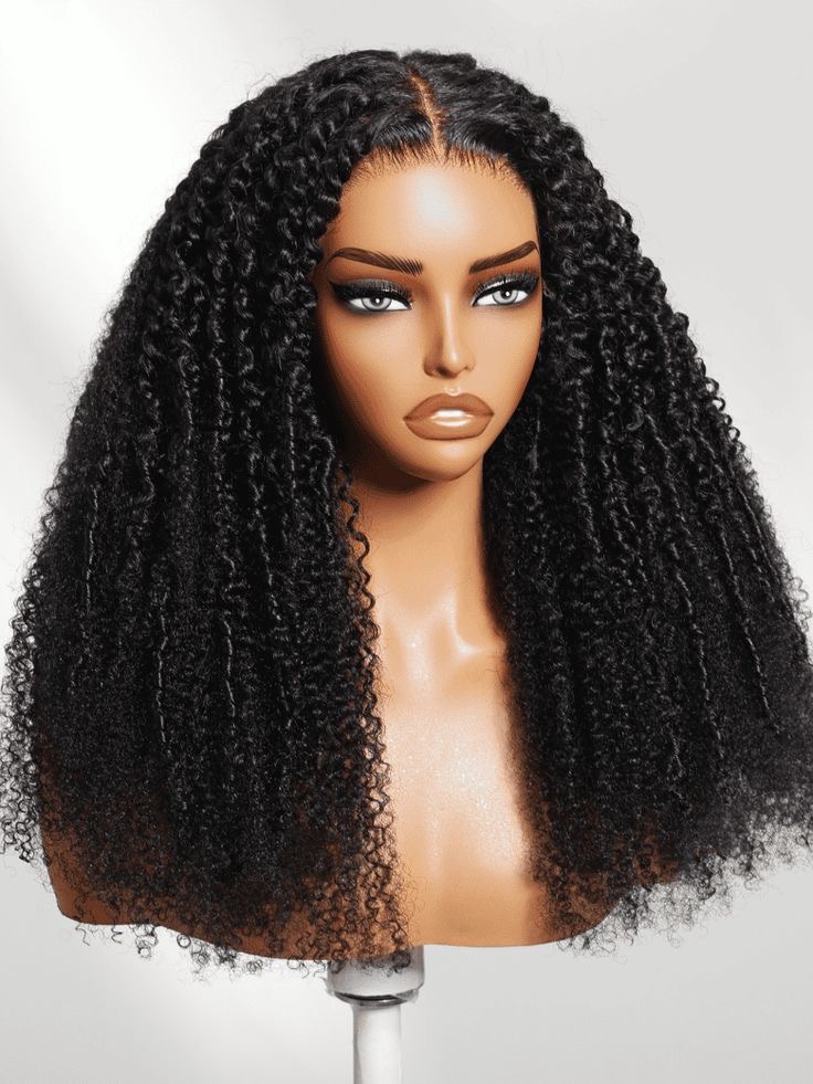 Long Kinky Curly Wig 22Inches