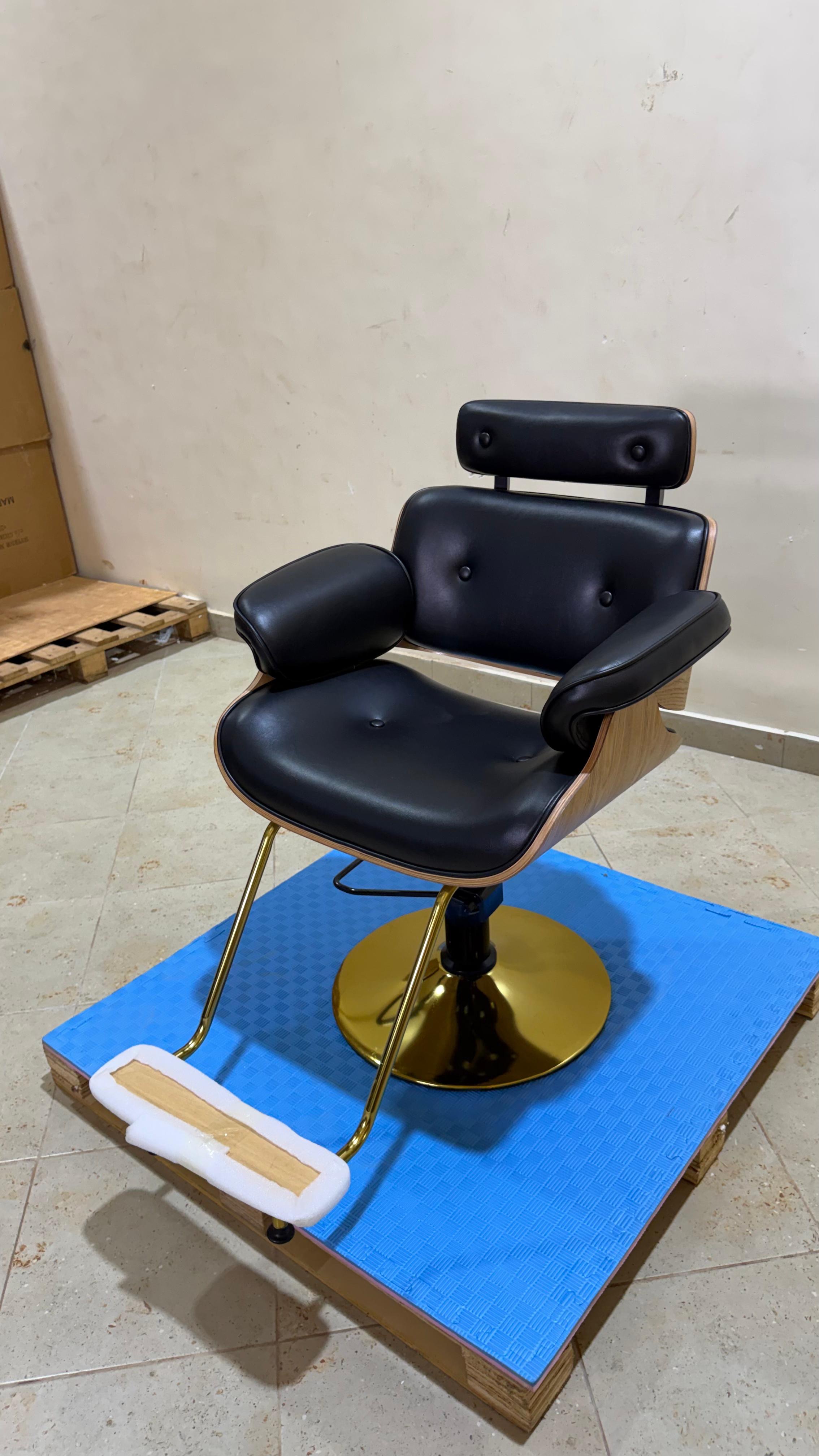 Salon Chair